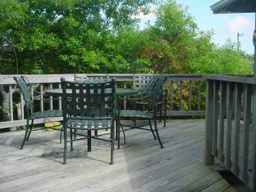Back Deck