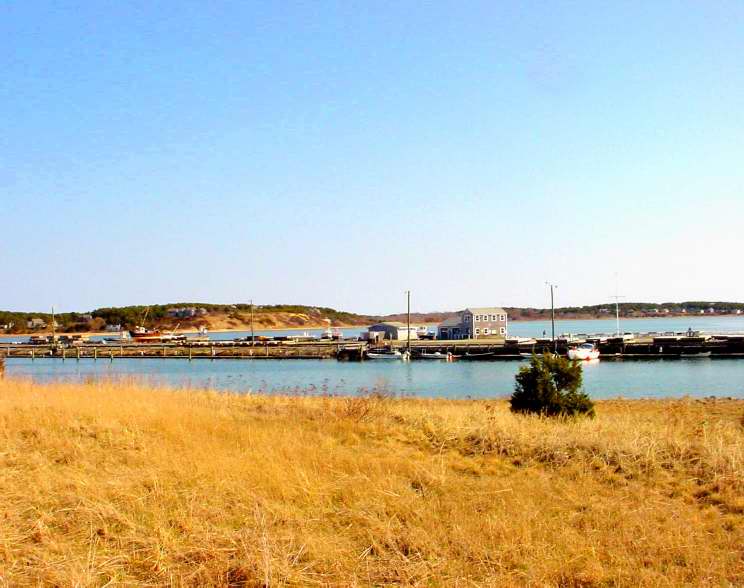 View from the Cottage Deck