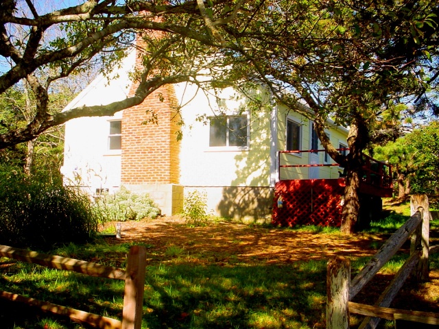 Pretty Penny Yard