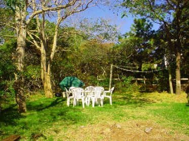 Side Yard - Barbecue & Picnic Area