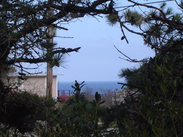 View From Pretty Penny Deck from East